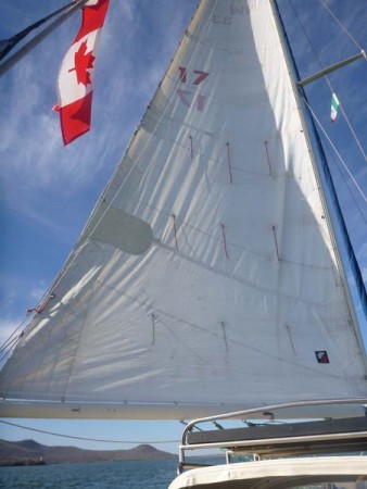 The 5200 Patch on our Mainsail