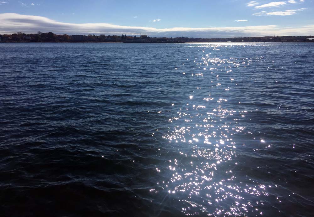 Venturing out in November (Richmond Island, Maine) With Brio